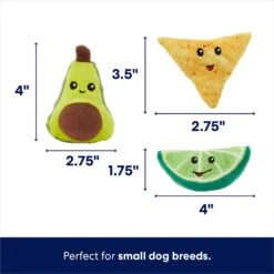 Frisco Guacamole Hide & Seek Puzzle Plush Squeaky Dog Toy & Frisco Guacamole Hide & Seek Puzzle Plush Squeaky Dog Toy Refills -Pet Care Sales 302478 PT3. AC SS1800 V1693327405