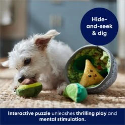Frisco Guacamole Hide & Seek Puzzle Plush Squeaky Dog Toy & Frisco Guacamole Hide & Seek Puzzle Plush Squeaky Dog Toy Refills -Pet Care Sales 302478 PT4. AC SS1800 V1693327290