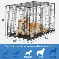 Frisco Fold & Carry Double Door Collapsible Wire Dog Crate & Mat Kit & Frisco Stainless Steel Bowl 10 Frisco Fold & Carry Double Door Collapsible Wire Dog Crate & Mat Kit & Frisco Stainless Steel Bowl -Pet Care Sales 303428 PT2. AC SS1800 V1623055045