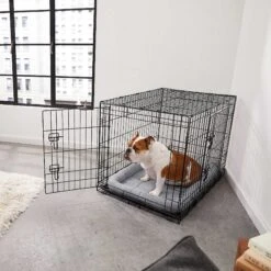 Frisco Fold & Carry Double Door Collapsible Wire Dog Crate & Mat Kit & Frisco Stainless Steel Bowl 12 Frisco Fold & Carry Double Door Collapsible Wire Dog Crate & Mat Kit & Frisco Stainless Steel Bowl -Pet Care Sales 303428 PT4. AC SS1800 V1623089543