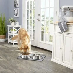 Frisco Fold & Carry Double Door Collapsible Wire Dog Crate & Mat Kit & Frisco Stainless Steel Bowl 15 Frisco Fold & Carry Double Door Collapsible Wire Dog Crate & Mat Kit & Frisco Stainless Steel Bowl -Pet Care Sales 303428 PT7. AC SS1800 V1623045760