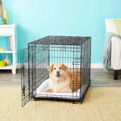 Frisco Fold & Carry Single Door Collapsible Wire Dog Crate & Frisco Premium Extra Large Printed Dog Training & Potty Pads -Pet Care Sales 303438 PT4. AC SS1800 V1623088347