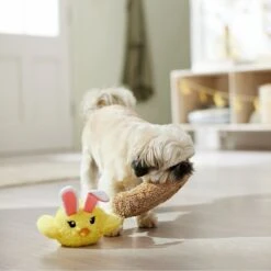 Frisco Easter Chick In Nest 2-in-1 Plush Squeaky Dog Toy -Pet Care Sales 304962 PT4. AC SS1800 V1702500565
