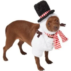 Frisco Front Walking Snowman Dog & Cat Costume -Pet Care Sales 306569 PT3. AC SS1800 V1631660597