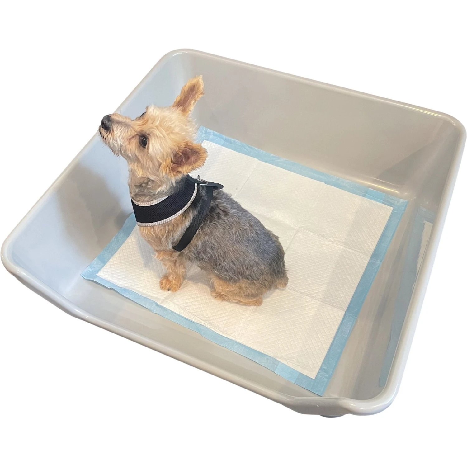 Shirley K's Indoor Dog Potty Tray, X-Large 1 Shirley K's Indoor Dog Potty Tray, X-Large