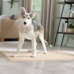 Frisco Giant Eco-Conscious Dog Training & Potty Pads -Pet Care Sales 309794 PT6. AC SS1800 V1674666971