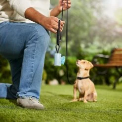 Frisco Dog Poop Bag Square Design Dispenser -Pet Care Sales 309816 PT5. AC SS1800 V1670276147