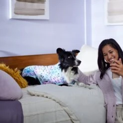 Disney Mickey & Friends Tie Dye Dog & Cat Jersey PJs 9 Disney Mickey & Friends Tie Dye Dog & Cat Jersey PJs -Pet Care Sales 311817 PT8. AC SS1800 V1643323767