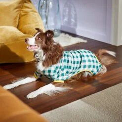 Frisco Boho Gingham Dog & Cat PJs -Pet Care Sales 312272 PT8. AC SS1800 V1644880063
