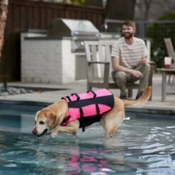 Frisco Ripstop Dog Life Jacket, Pink -Pet Care Sales 312380 PT8. AC SS1800 V1649275938