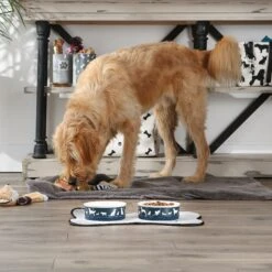 Bone Dry Show Set Dog Bowl -Pet Care Sales 313437 PT4. AC SS1800 V1631776449