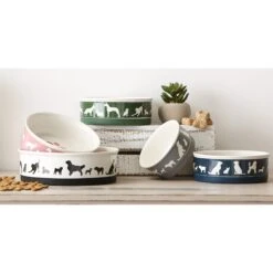 Bone Dry Show Set Dog Bowl -Pet Care Sales 313437 PT7. AC SS1800 V1631772791