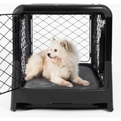Diggs Revol Collapsible Dog Crate 11 Diggs Revol Collapsible Dog Crate -Pet Care Sales 313497 PT5. AC SS1800 V1627352242