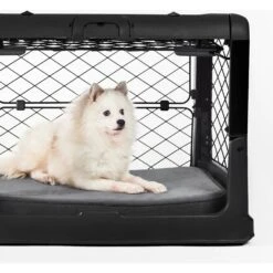 Diggs Revol Collapsible Dog Crate 12 Diggs Revol Collapsible Dog Crate -Pet Care Sales 313497 PT6. AC SS1800 V1627305988