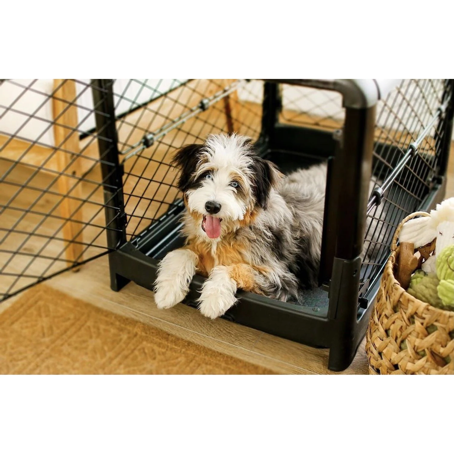 Diggs Revol Collapsible Dog Crate 7 Diggs Revol Collapsible Dog Crate - Image 7