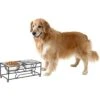 Pet Adobe Modern Double Elevated Dog Bowl
