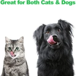 Pet Adobe Modern Double Elevated Dog Bowl -Pet Care Sales 315043 PT4. AC SS1800 V1626387379