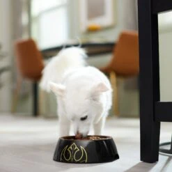 STAR WARS Melamine Stainless Steel Dog & Cat Bowl -Pet Care Sales 315268 PT2. AC SS1800 V1647283229