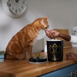 STAR WARS Melamine Dog & Cat Treat Jar -Pet Care Sales 315276 PT3. AC SS1800 V1647281986