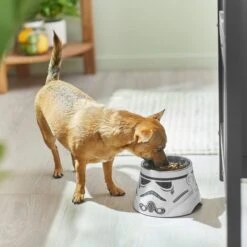 STAR WARS STORMTROOPER Melamine Elevated Stainless Steel Dog & Cat Bowl, 1.5 Cup -Pet Care Sales 315280 PT2. AC SS1800 V1647283853