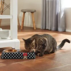 Disney Minnie Mouse Peek-A-Boo Melamine Stainless Steel Double Dog & Cat Bowl -Pet Care Sales 315286 PT3. AC SS1800 V1647282324