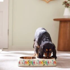 Disney Minnie Mouse Summer Bamboo Melamine Stainless Steel Double Dog & Cat Bowl 10 Disney Minnie Mouse Summer Bamboo Melamine Stainless Steel Double Dog & Cat Bowl -Pet Care Sales 315343 PT2. AC SS1800 V1647283653