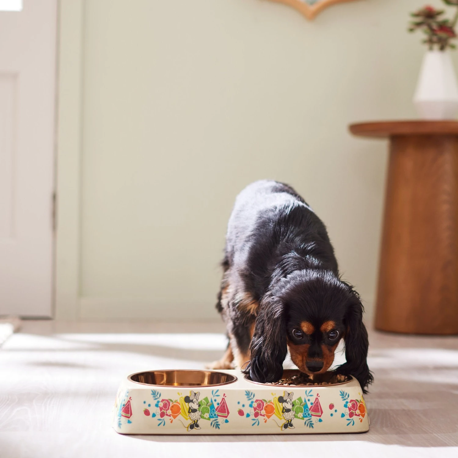 Disney Minnie Mouse Summer Bamboo Melamine Stainless Steel Double Dog & Cat Bowl 3 Disney Minnie Mouse Summer Bamboo Melamine Stainless Steel Double Dog & Cat Bowl - Image 3
