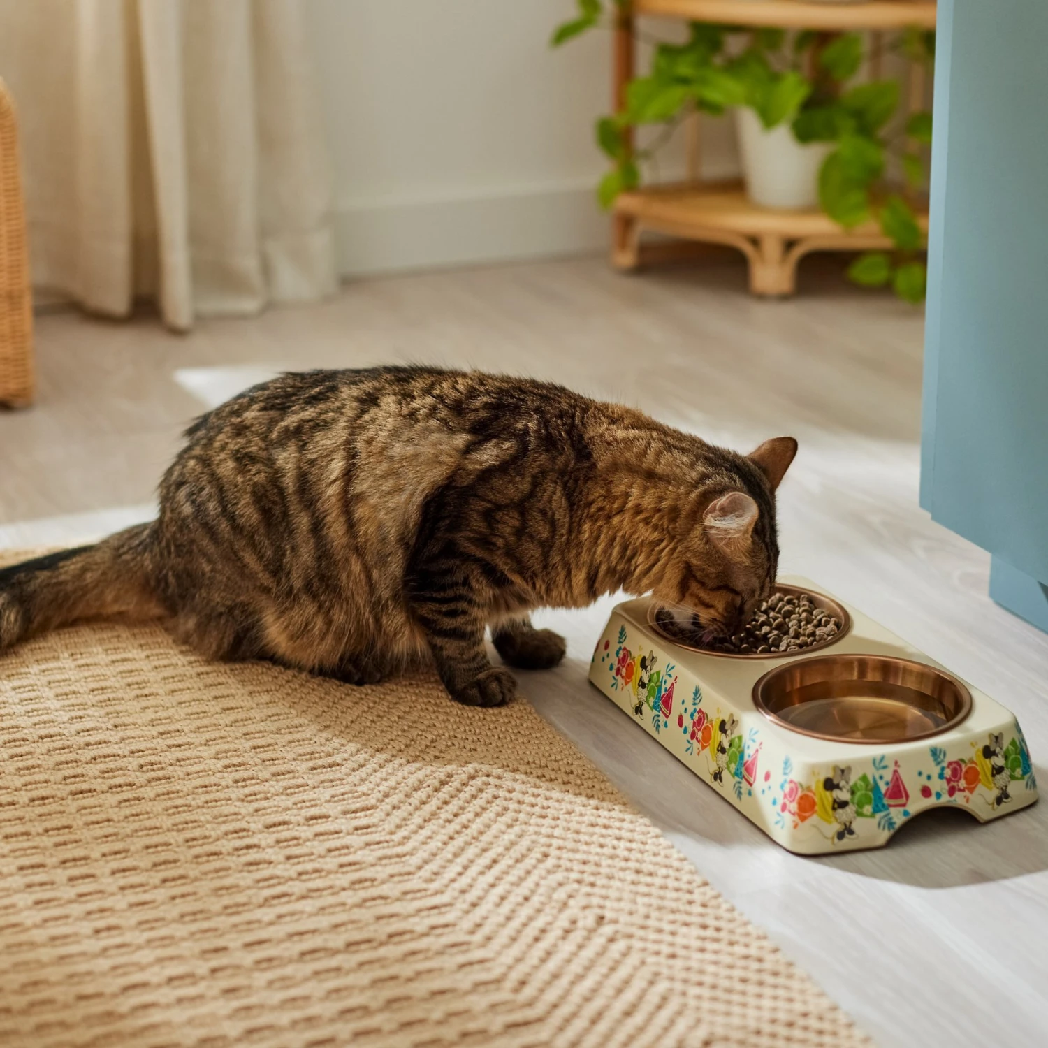 Disney Minnie Mouse Summer Bamboo Melamine Stainless Steel Double Dog & Cat Bowl 4 Disney Minnie Mouse Summer Bamboo Melamine Stainless Steel Double Dog & Cat Bowl - Image 4