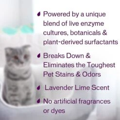 Biokleen Bac-Out Pet Stain & Odor Remover, 1-gal 11 Biokleen Bac-Out Pet Stain & Odor Remover, 1-gal -Pet Care Sales 316075 PT3. AC SS1800 V1632790040
