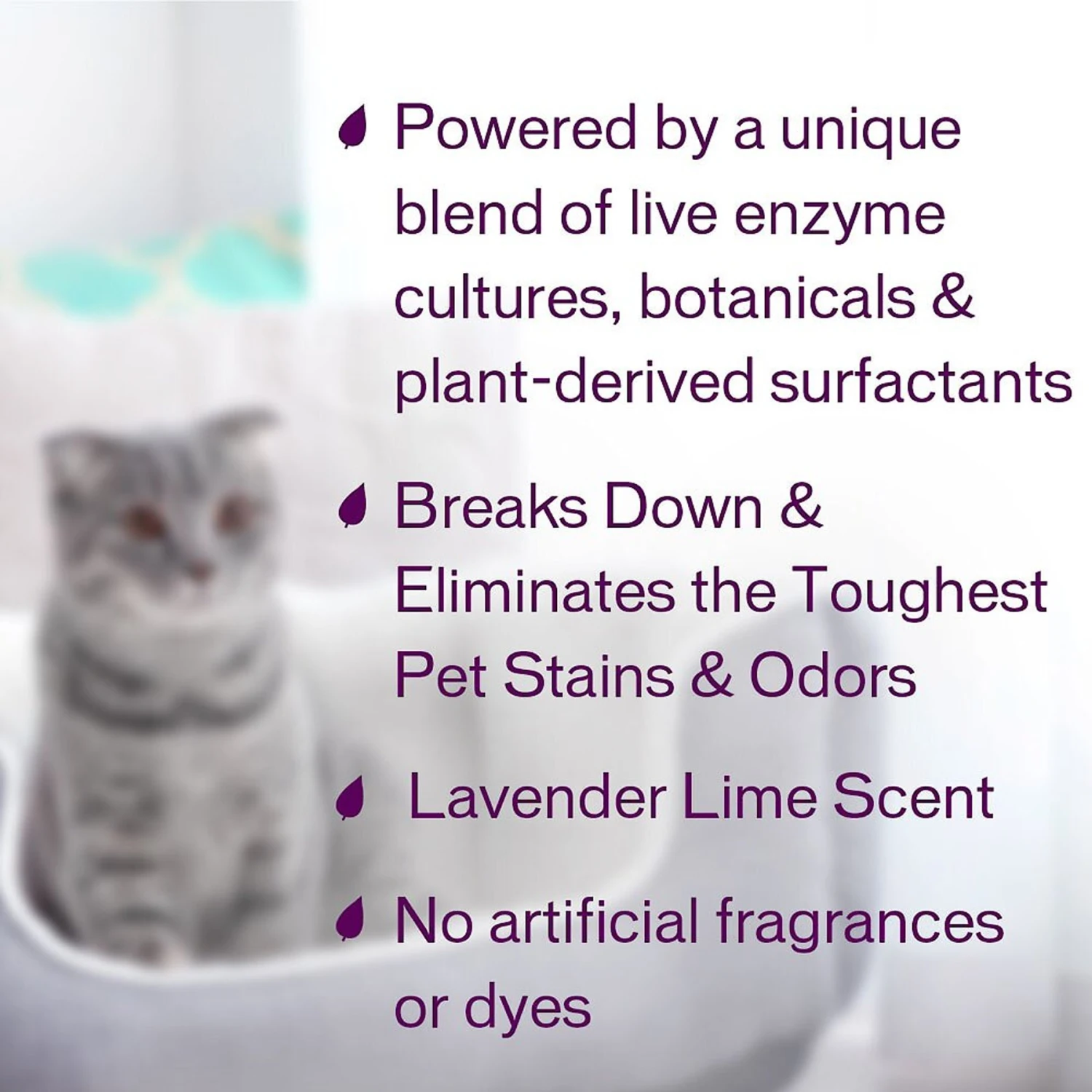 Biokleen Bac-Out Pet Stain & Odor Remover, 1-gal 4 Biokleen Bac-Out Pet Stain & Odor Remover, 1-gal - Image 4