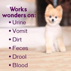 Biokleen Bac-Out Pet Stain & Odor Remover, 1-gal 12 Biokleen Bac-Out Pet Stain & Odor Remover, 1-gal -Pet Care Sales 316075 PT4. AC SS1800 V1632788173