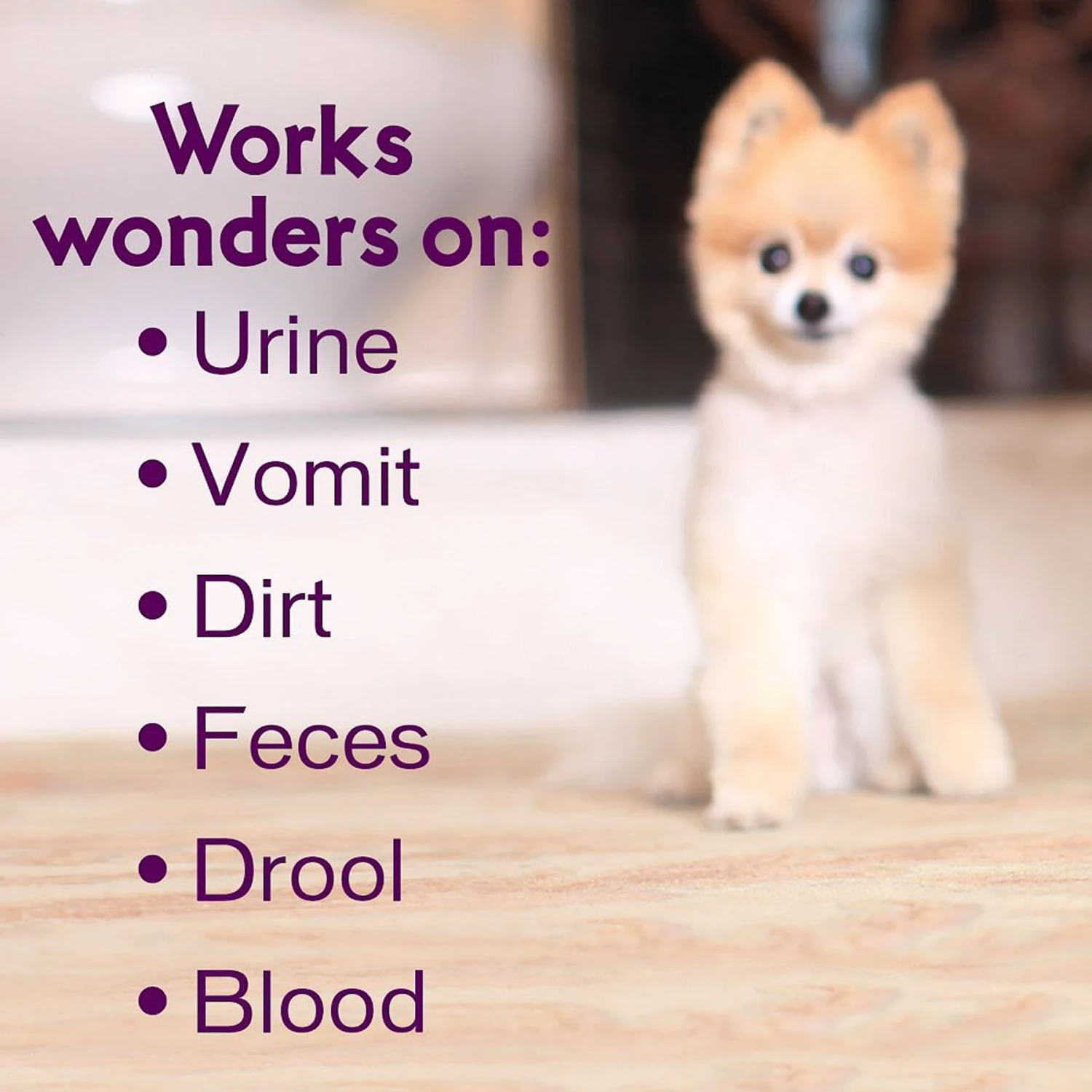 Biokleen Bac-Out Pet Stain & Odor Remover, 1-gal 5 Biokleen Bac-Out Pet Stain & Odor Remover, 1-gal - Image 5