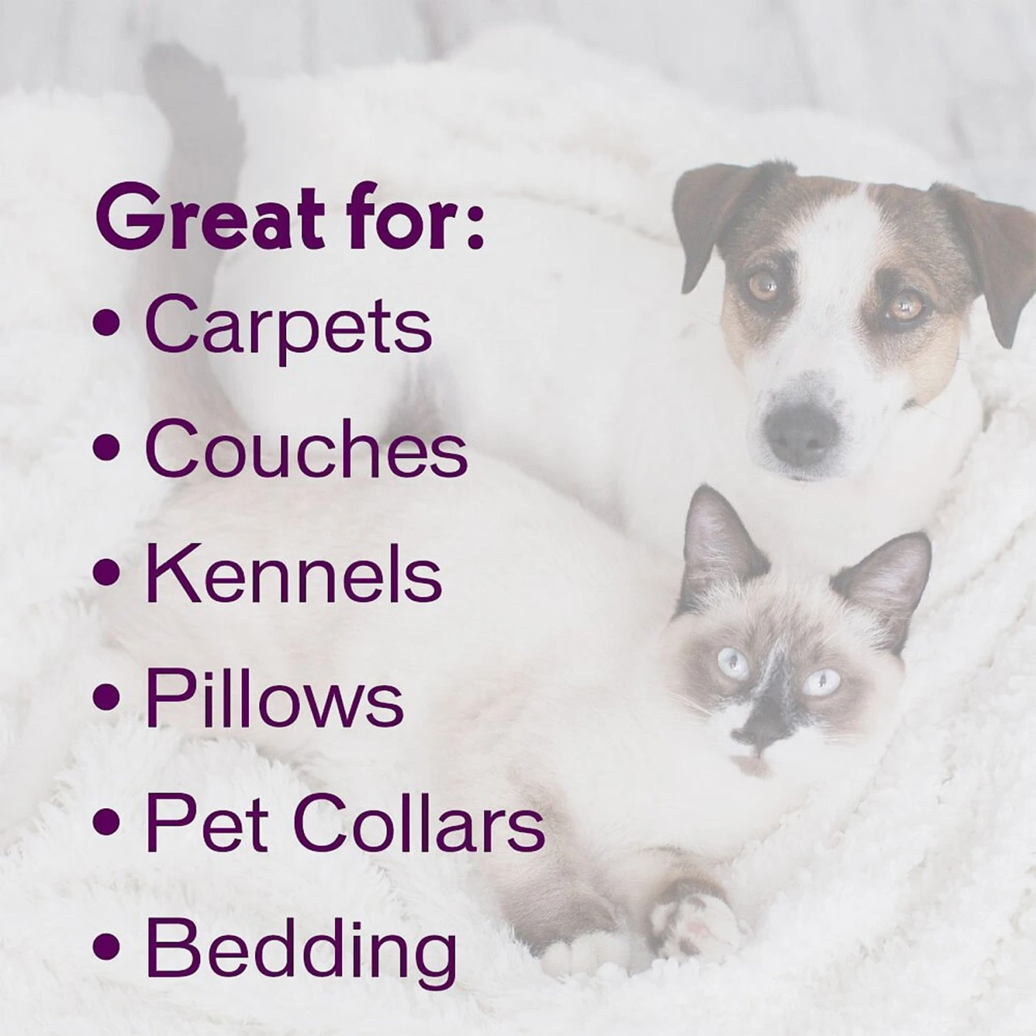 Biokleen Bac-Out Pet Stain & Odor Remover, 1-gal 6 Biokleen Bac-Out Pet Stain & Odor Remover, 1-gal - Image 6