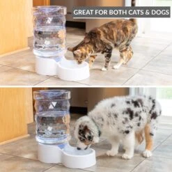 PetFusion H2O Gravity Dog & Cat Waterer -Pet Care Sales 316743 PT2. AC SS1800 V1632182774