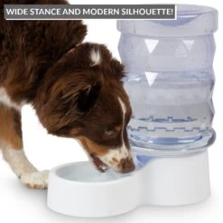 PetFusion H2O Gravity Dog & Cat Waterer -Pet Care Sales 316743 PT5. AC SS1800 V1632181293