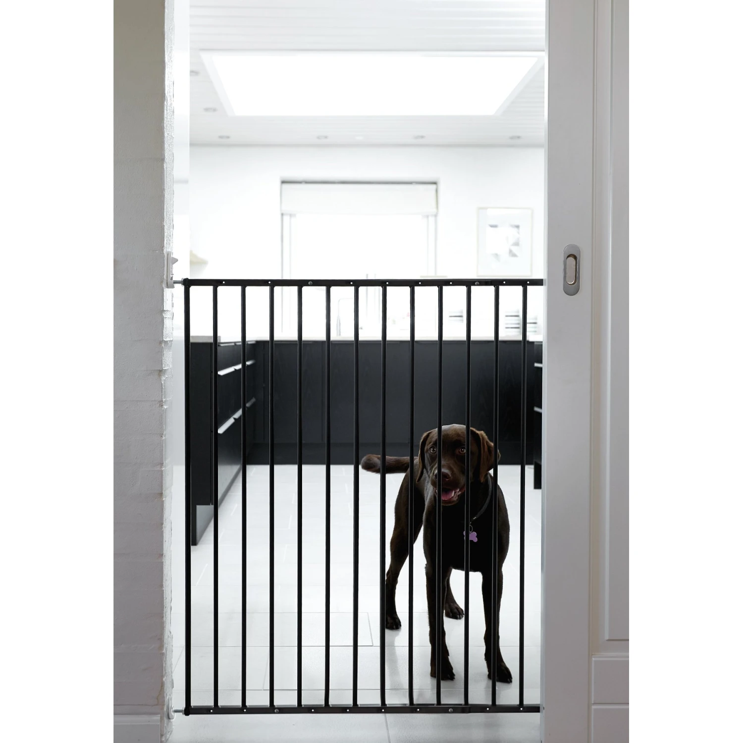 Scandinavian Pet Streamline Extra Tall Wall Mounted Dog Gate 1 Scandinavian Pet Streamline Extra Tall Wall Mounted Dog Gate