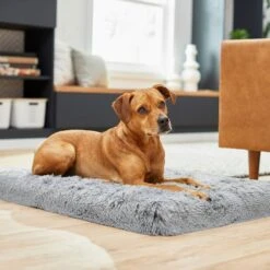 Frisco Eyelash Orthopedic Dog Crate Mat & Frisco Fold & Carry Single Door Collapsible Wire Dog Crate 13 Frisco Eyelash Orthopedic Dog Crate Mat & Frisco Fold & Carry Single Door Collapsible Wire Dog Crate -Pet Care Sales 319010 PT4. AC SS1800 V1631628403