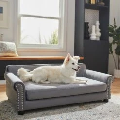 Frisco Sofa Pet Bed With Removable Cover & Frisco Eyelash Cat & Dog Blanket -Pet Care Sales 319504 PT4. AC SS1800 V1630625195
