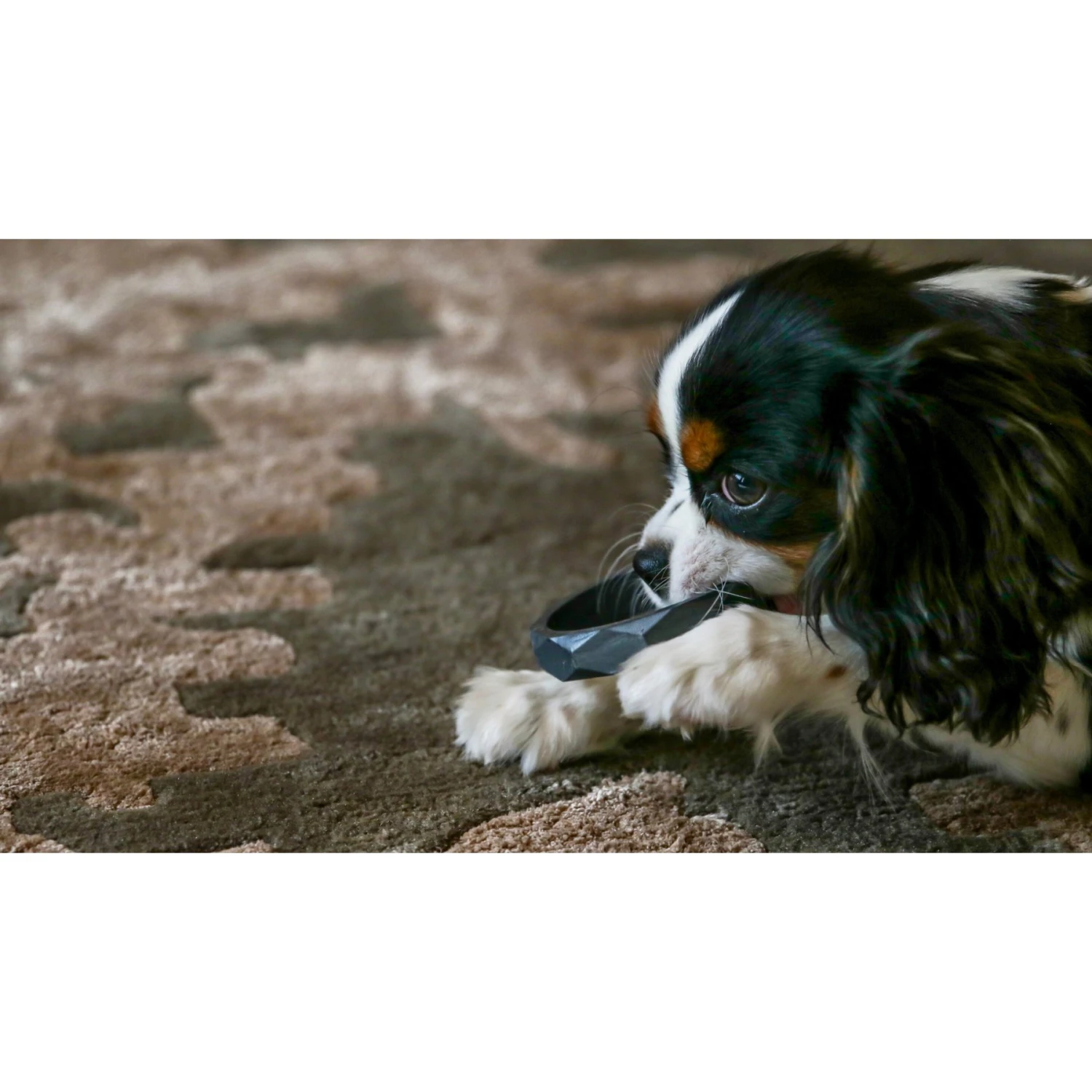 Sweet Paws Wearable Puppy Teether Stack Party Of 4 6 Sweet Paws Wearable Puppy Teether Stack Party Of 4 - Image 6