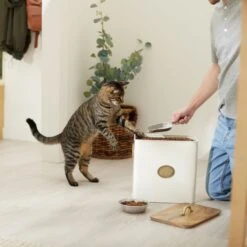 Frisco Premium Airtight Dog & Cat Food Storage Canister With Scoop 9 Frisco Premium Airtight Dog & Cat Food Storage Canister With Scoop -Pet Care Sales 331486 PT3. AC SS1800 V1657656891