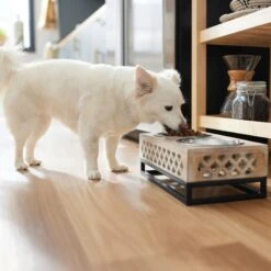 Frisco Premium Wood Elevated Stainless Steel Double Diner Dog & Cat Bowl, 3 Cup 7 Frisco Premium Wood Elevated Stainless Steel Double Diner Dog & Cat Bowl, 3 Cup -Pet Care Sales 331507 PT2. AC SS1800 V1657656894