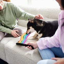 Frisco Pride Flag Flat Squeaky Dog Toy 5 Frisco Pride Flag Flat Squeaky Dog Toy -Pet Care Sales 331640 PT3. AC SS1800 V1647355852