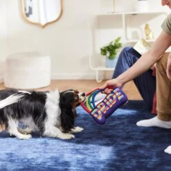 Frisco Pride Rainbow Plush With Rope Squeaky Dog Toy -Pet Care Sales 331653 PT3. AC SS1800 V1647356026