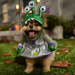 Frisco Front Walking Alien Dog & Cat Costume -Pet Care Sales 334795 PT7. AC SS1800 V1657718966