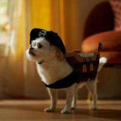 Frisco Pirate Ship Dog & Cat Costume 12 Frisco Pirate Ship Dog & Cat Costume -Pet Care Sales 335078 PT7. AC SS1800 V1657656881