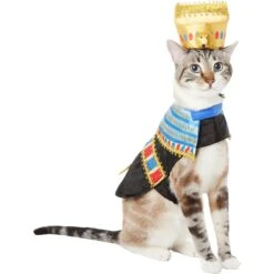 Frisco Royal Pharoah Dog & Cat Costume 10 Frisco Royal Pharoah Dog & Cat Costume -Pet Care Sales 335114 PT2. AC SS1800 V1658349300
