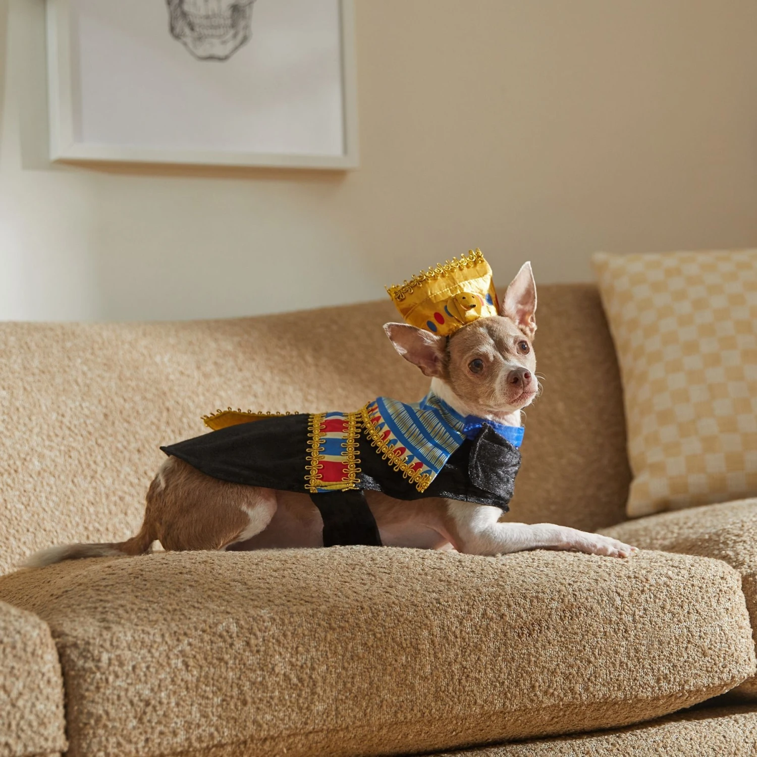 Frisco Royal Pharoah Dog & Cat Costume 7 Frisco Royal Pharoah Dog & Cat Costume - Image 7