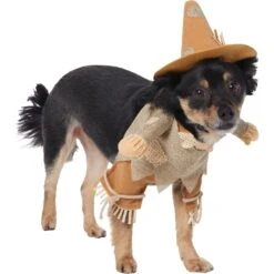 Frisco Front Walking Scarecrow Dog & Cat Costume -Pet Care Sales 335135 PT3. AC SS1800 V1658349680