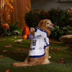 STAR WARS R2-D2 Dog & Cat Hoodie 9 STAR WARS R2-D2 Dog & Cat Hoodie -Pet Care Sales 335231 PT8. AC SS1800 V1660224126