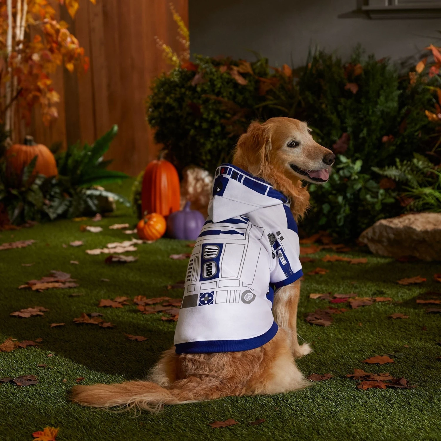 STAR WARS R2-D2 Dog & Cat Hoodie 5 STAR WARS R2-D2 Dog & Cat Hoodie - Image 5
